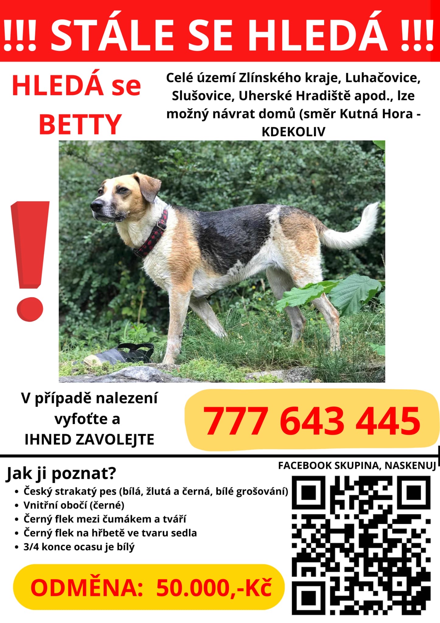 Dne 26. 12. 2024 v Dolní Lhotě se ztratila fenka Betty